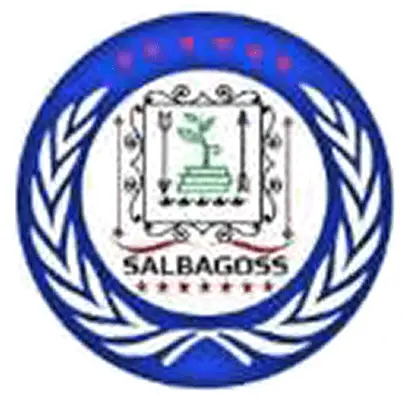Salbagoss logo
